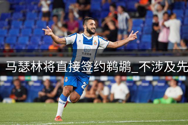 马瑟林将直接签约鹈鹕 不涉及先签后换程序